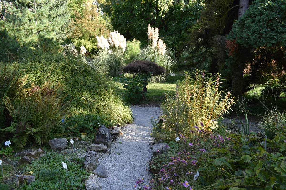 27 Garden Edging Ideas That Actually Keep Weeds Out (And Look Stunning)
