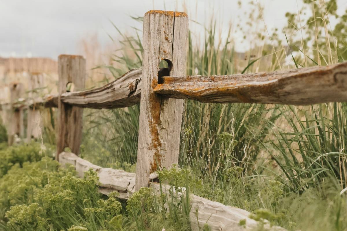 27 Wooden Garden Edging Ideas That Actually Last (And Won’t Rot by July)