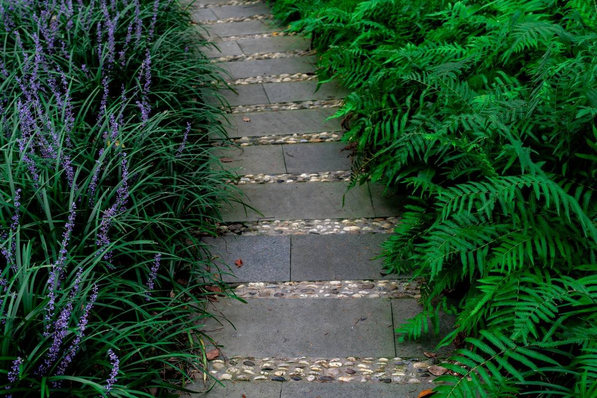 Curve Design Accent Garden Edging What? Your Ultimate Guide to Flowing, Functional Garden Borders