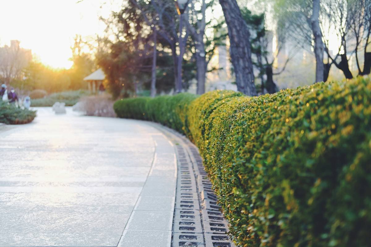 Curved Garden Edging Bunnings: How to Get Clean, Flowing Lines Without Losing Your Mind