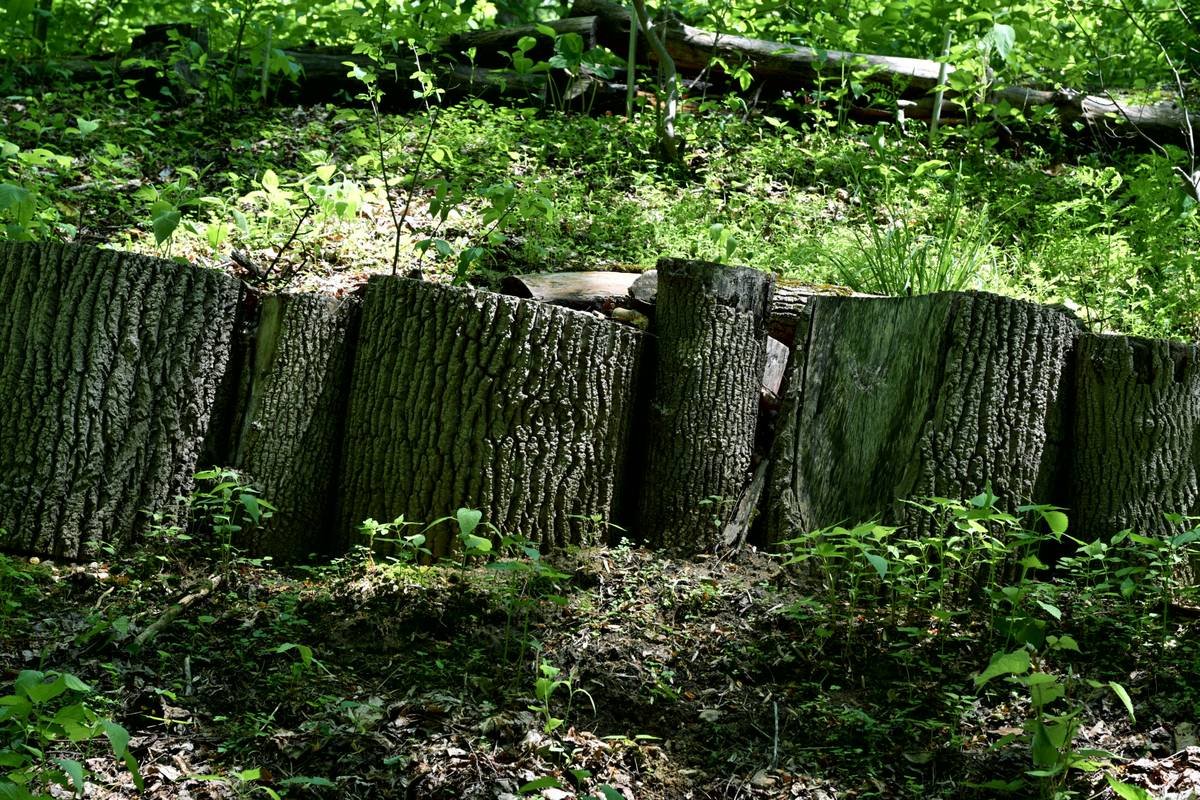 Comparison chart showing lifespan of common woods used for garden edging: untreated pine (1-2 yrs), pressure-treated lumber (5-10 yrs), cedar (7-15 yrs), redwood (10-20+ yrs) based on USDA data