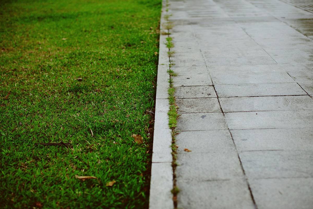 The Yard Edging Shovel: Your Secret Weapon for Crisp, Weed-Free Garden Borders