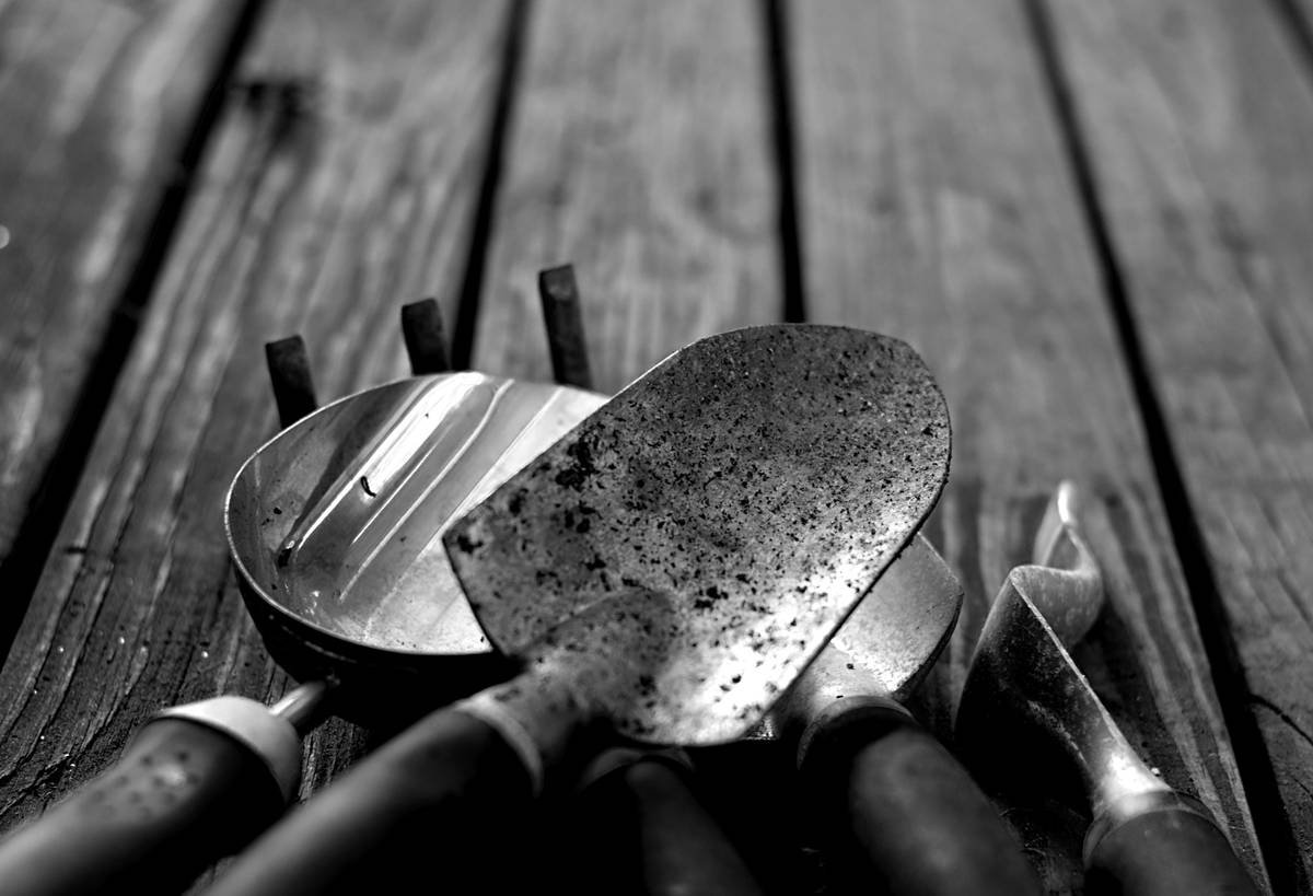 Why Your Garden Edges Look Sloppy (And How a Garden Edger Shovel Fixes It Fast)