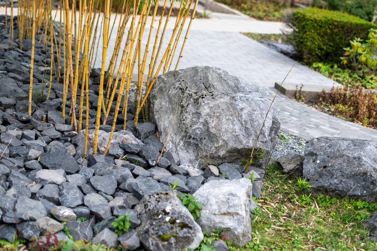 Before-and-after photos of a garden bed bordered with reclaimed bricks showing weed reduction and improved aesthetics