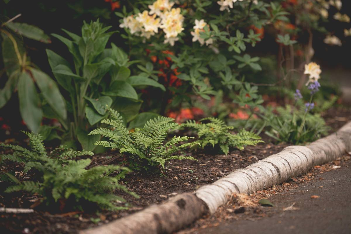 Curved Timber Garden Edging: The Elegant Fix Most DIYers Get Wrong