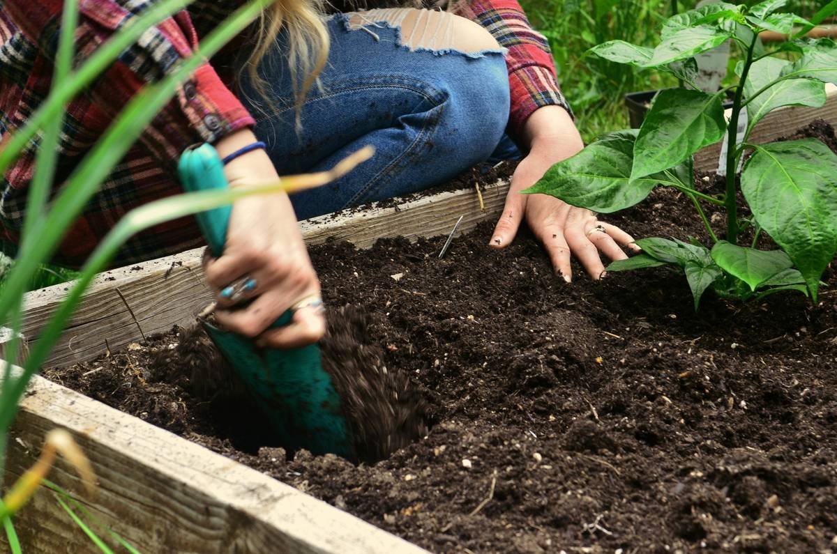 how to edge garden with shovel using proper angled cut technique