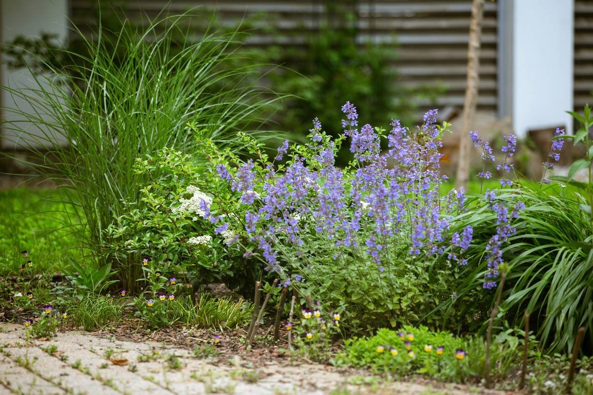Wine bottles installed upside down as inexpensive garden edging tips