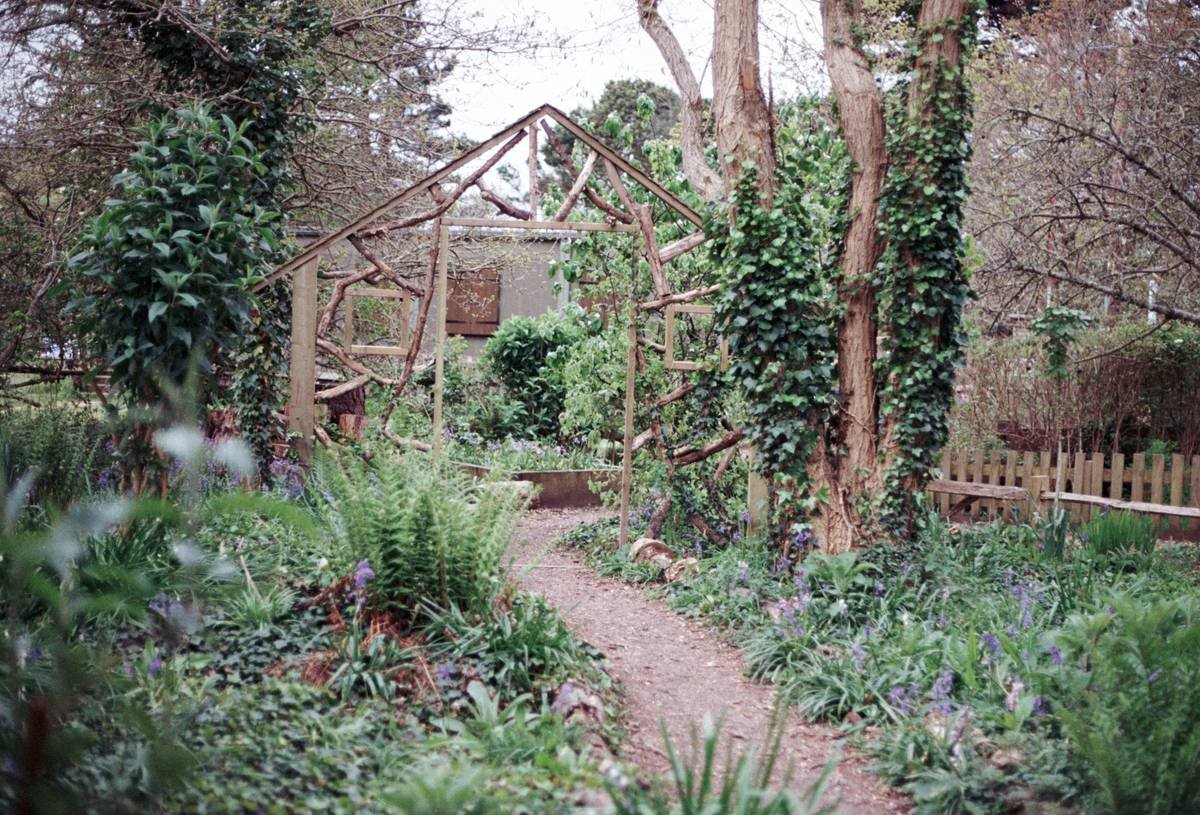 Finished curved timber garden edging seamlessly defining a flower bed with soft plantings spilling over the edge