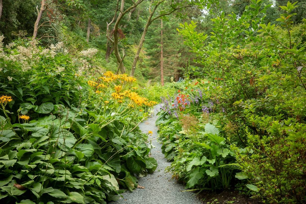 DIY garden edging using reclaimed brick to make your own garden edging