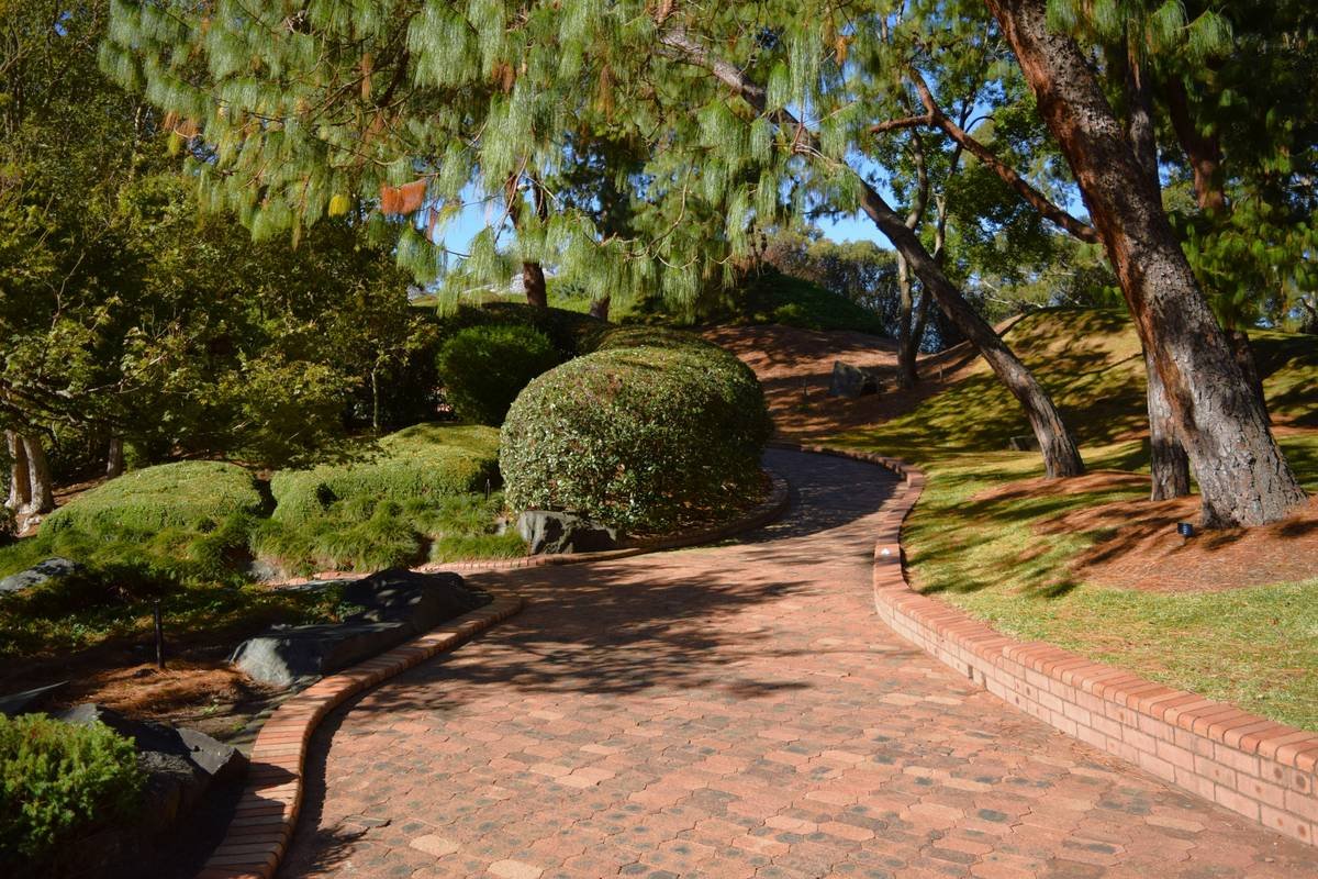 How to Make Curved Garden Edging That Looks Professional (Without Losing Your Mind)