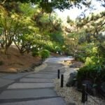 inexpensive garden edging tips that actually hold up year after year