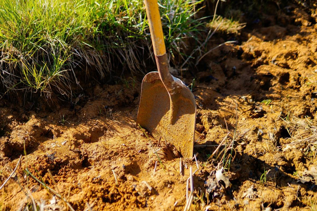 The Ultimate Guide to Choosing the Best Edging Shovel for Garden Perfection